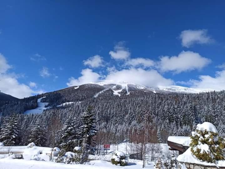 Ferienwohnung Apartman "Aroma 1"Bjelašnica Exterior foto